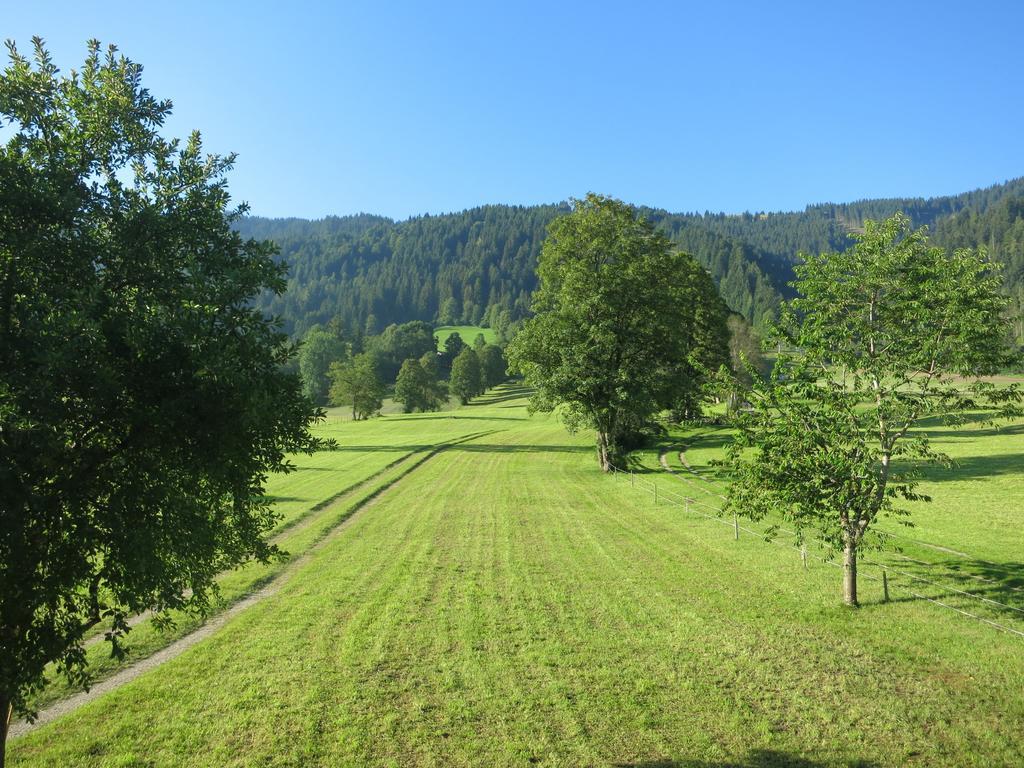 Ferienwohnungen Marchanger Niederau Exteriér fotografie